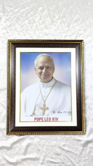 Pope Leo XIV Portrait - 22x18 Inch